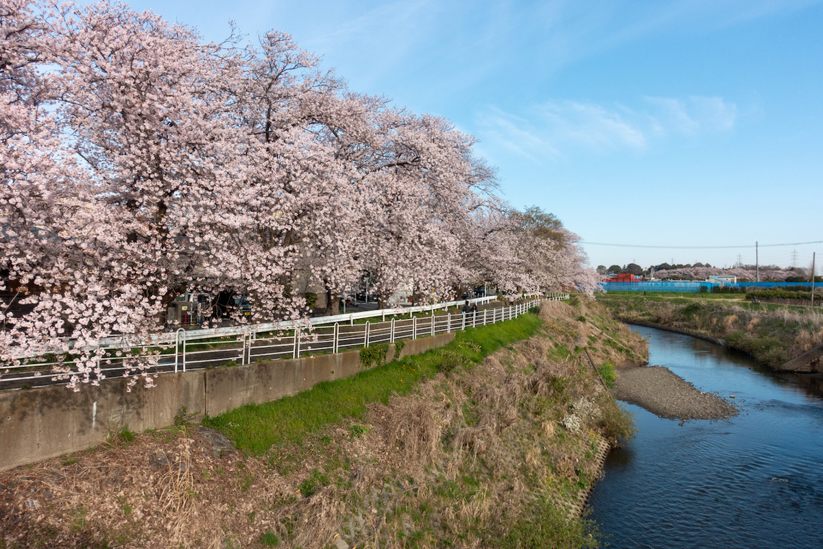 f:id:saetta0404:20220403172142j:plain