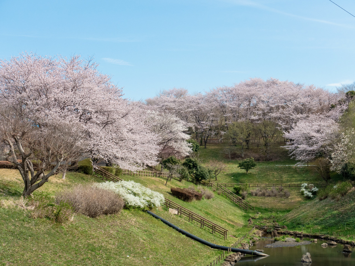 f:id:saetta0404:20220403172205j:plain