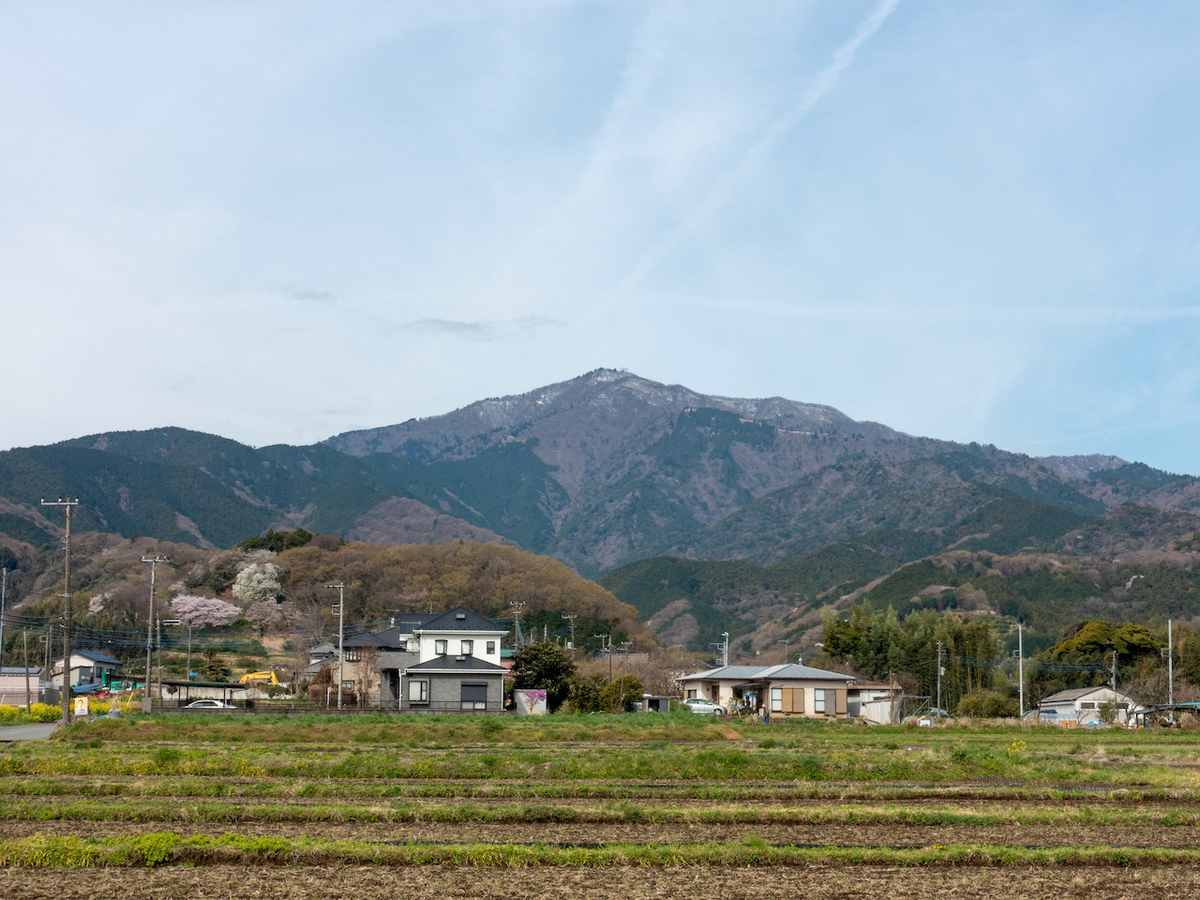 f:id:saetta0404:20220403172225j:plain