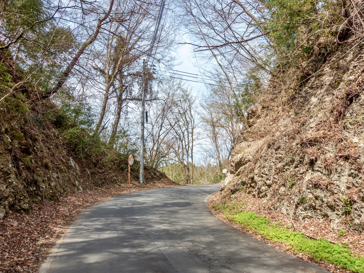 f:id:saetta0404:20220403172418j:plain