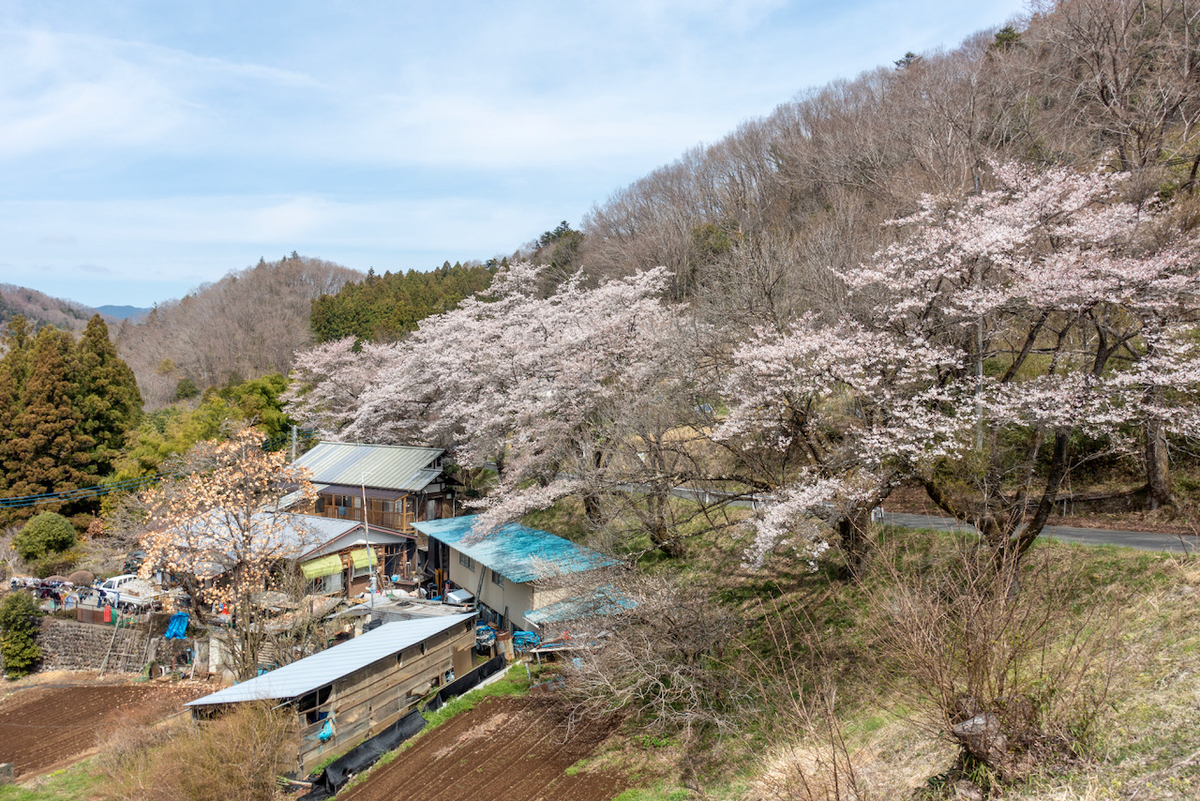 f:id:saetta0404:20220403172440j:plain