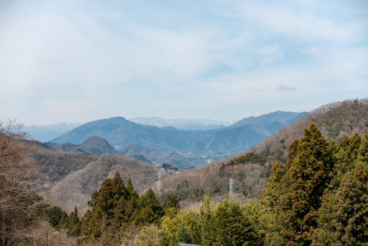 f:id:saetta0404:20220403172453j:plain