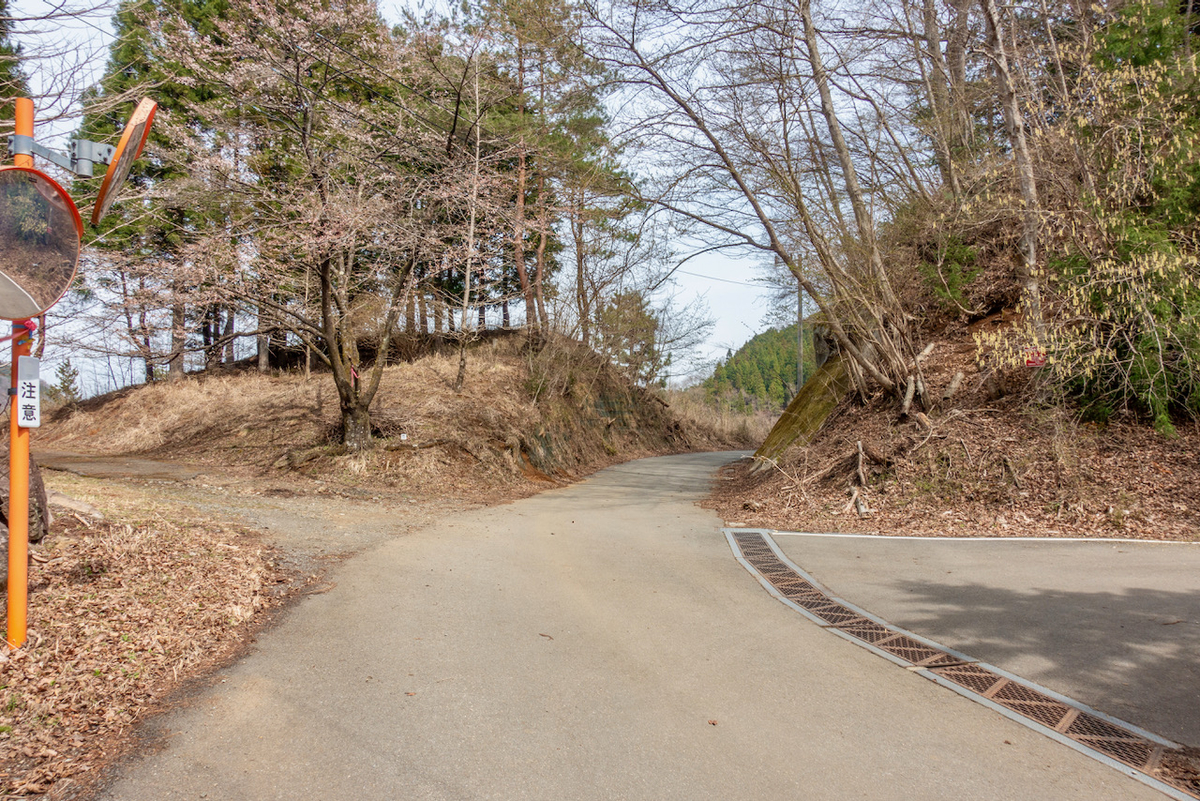 f:id:saetta0404:20220403172657j:plain