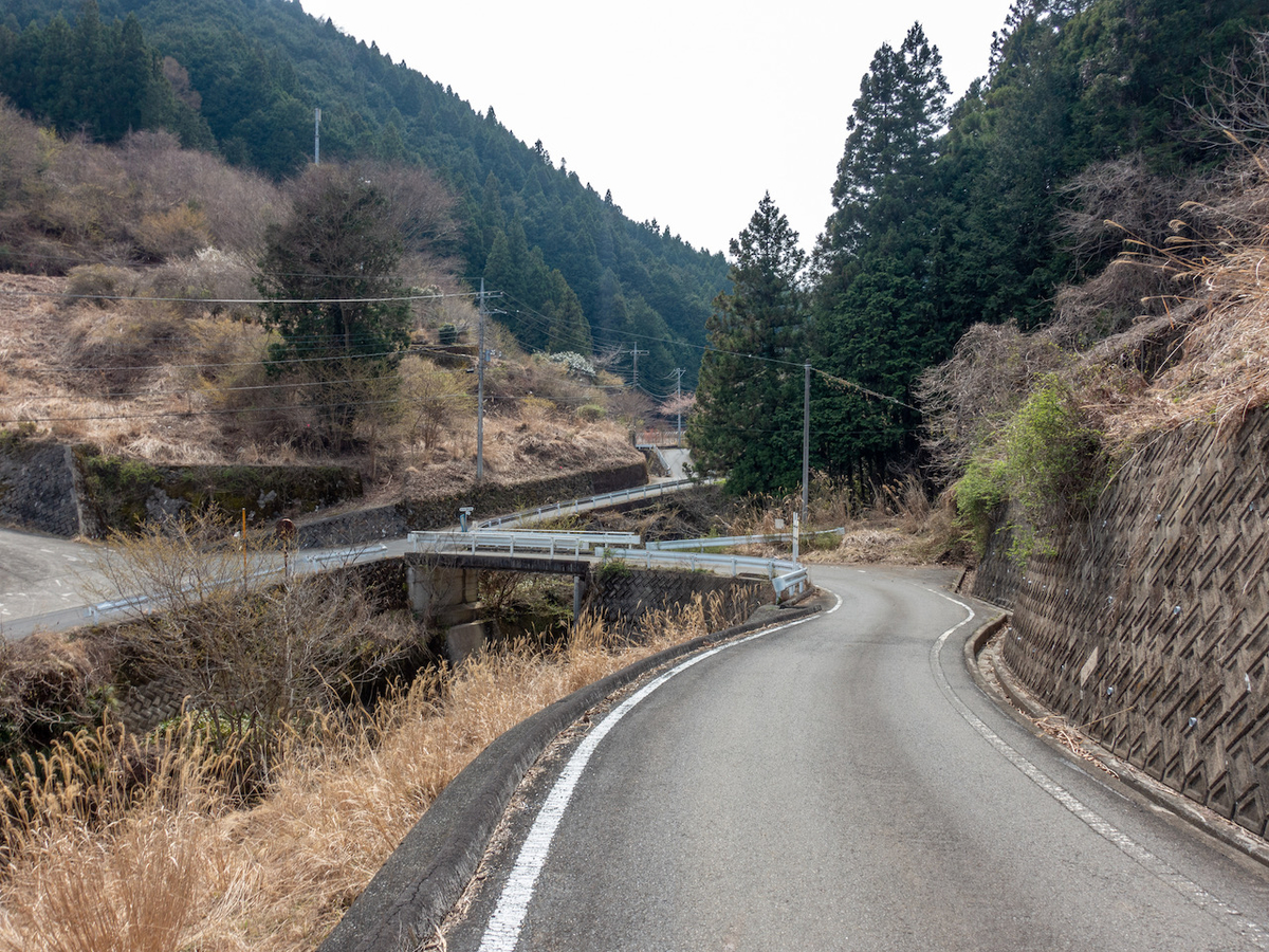 f:id:saetta0404:20220403172826j:plain