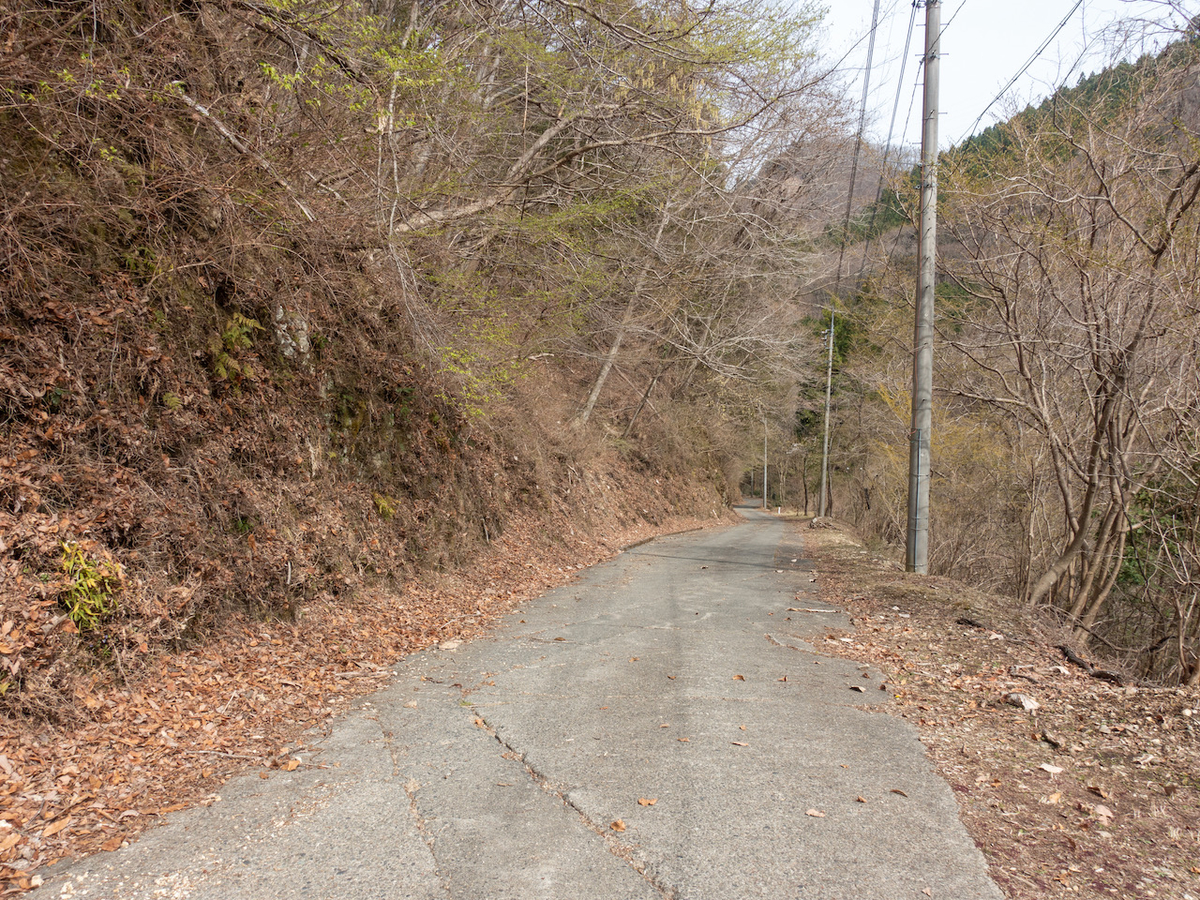 f:id:saetta0404:20220403172908j:plain