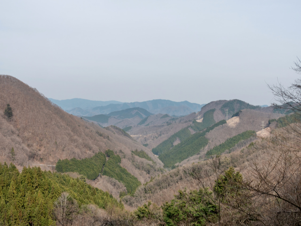 f:id:saetta0404:20220403172925j:plain