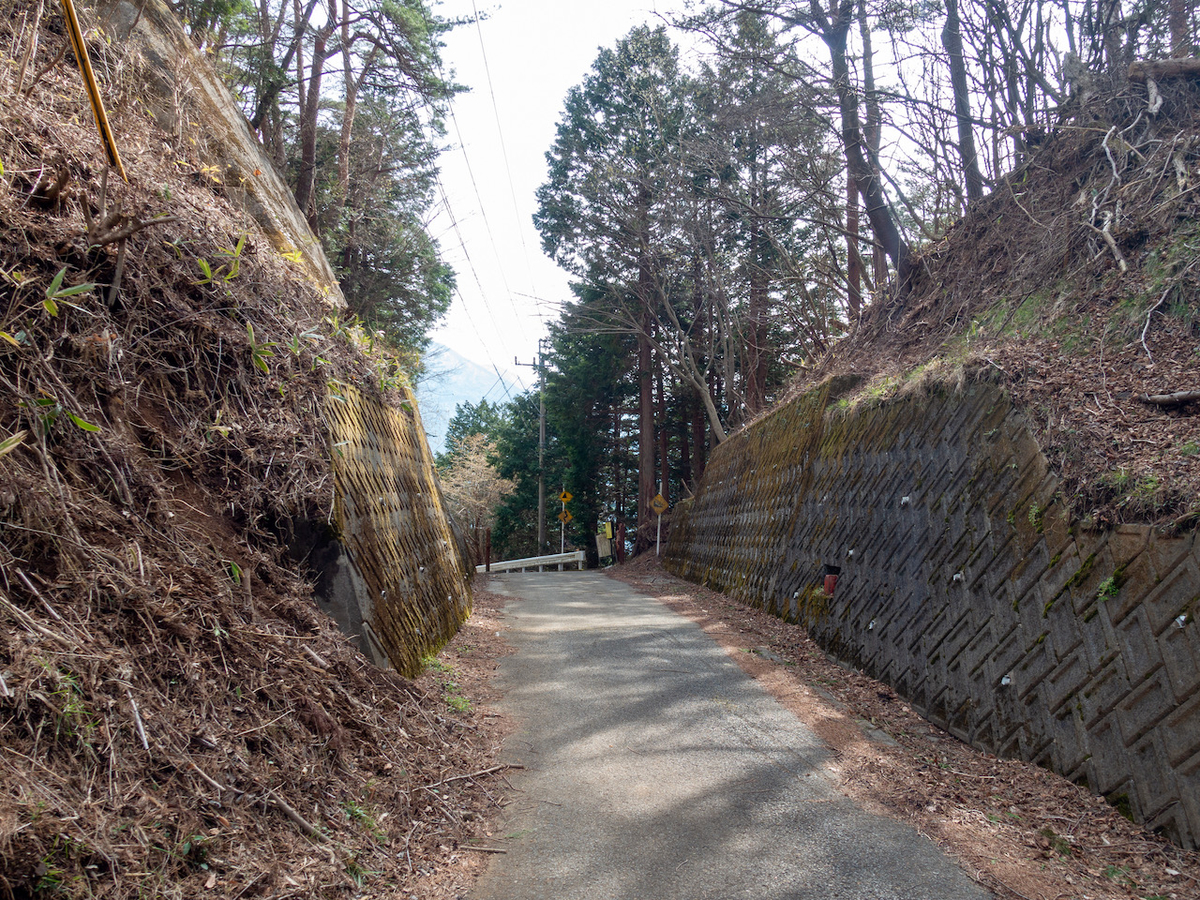 f:id:saetta0404:20220403172945j:plain