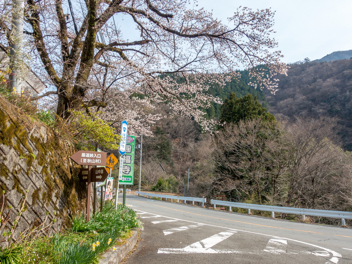 f:id:saetta0404:20220403173042j:plain