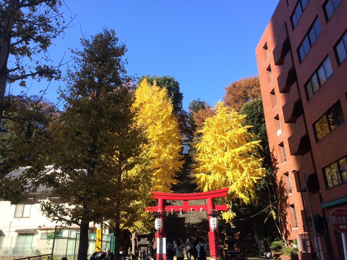 f:id:saewataru:20191212134647j:plain