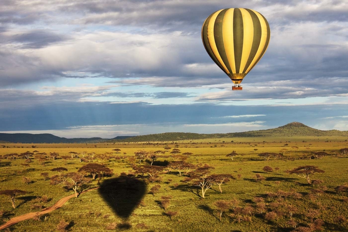 f:id:safaribuddy:20200704001000j:plain