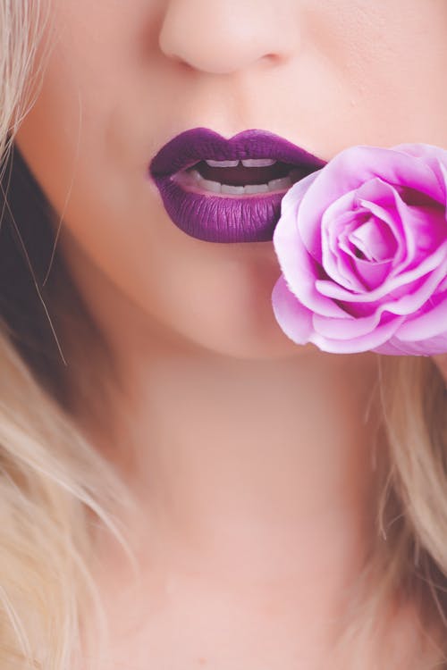 f:id:safdardcs2:20190204201128j:plain f:id:safdardcs2:20190204201128j:plain