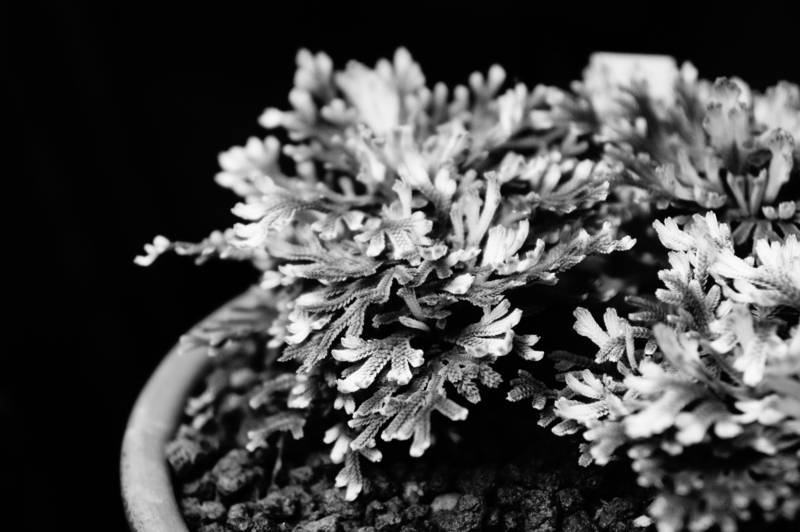 f:id:safelight:20111007171726j:image f:id:safelight:20111007171726j:image