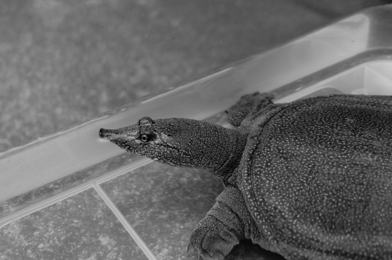 f:id:safelight:20111007171752j:image f:id:safelight:20111007171752j:image