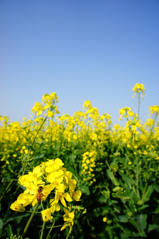 f:id:safelight:20120316152936j:image f:id:safelight:20120316152936j:image