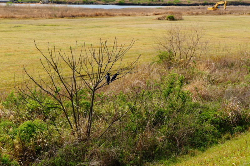f:id:safelight:20120318150730j:image f:id:safelight:20120318150730j:image