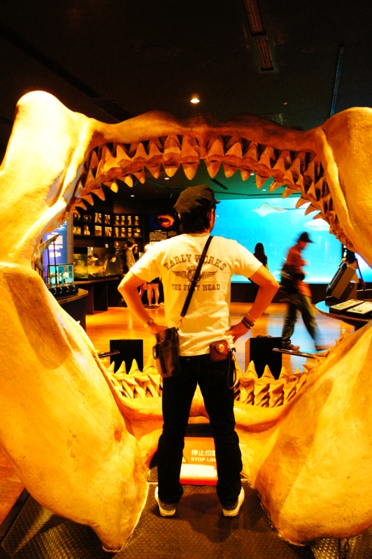 f:id:safelight:20120421170001j:image f:id:safelight:20120421170001j:image