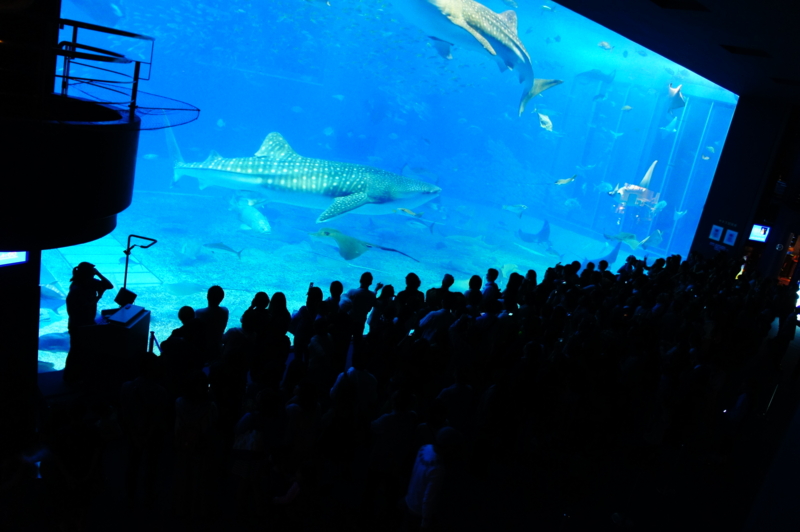 f:id:safelight:20120421170150j:image f:id:safelight:20120421170150j:image