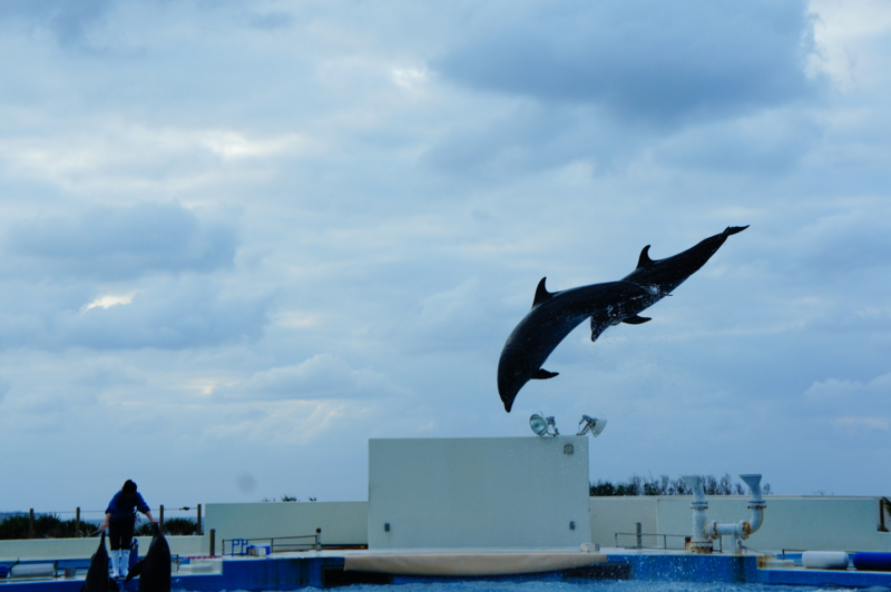 f:id:safelight:20120421181456j:image f:id:safelight:20120421181456j:image