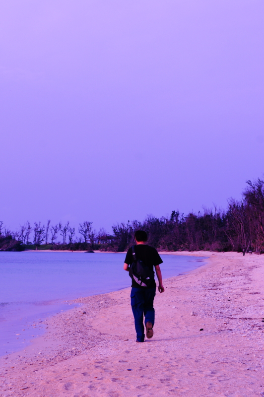 f:id:safelight:20120423181518j:image f:id:safelight:20120423181518j:image