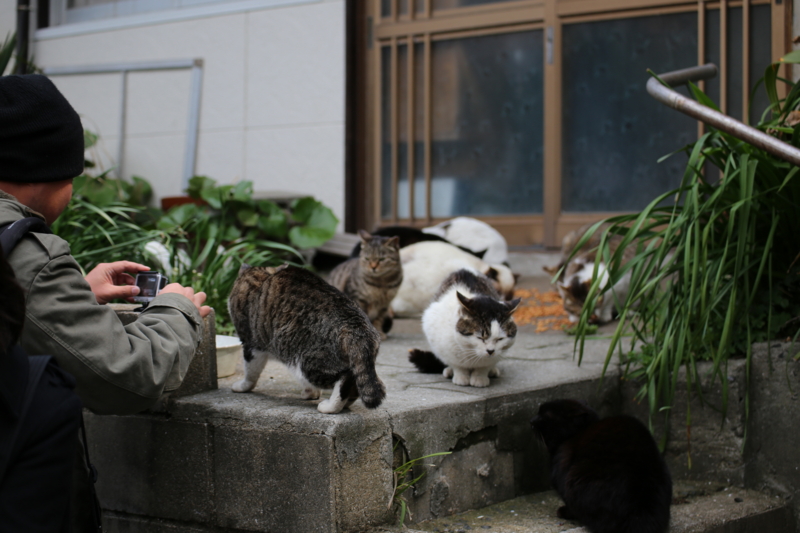 f:id:safelight:20140406105727j:image f:id:safelight:20140406105727j:image