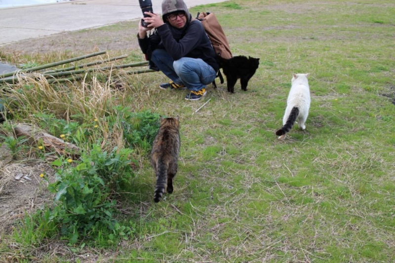 f:id:safelight:20140406221421j:image f:id:safelight:20140406221421j:image