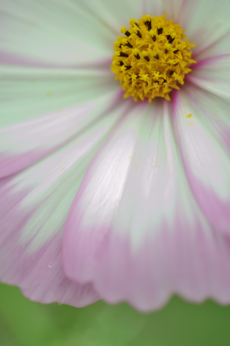 f:id:safran5374to:20211027125818j:plain