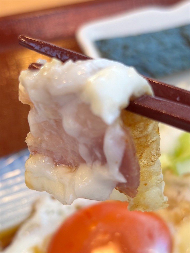f:id:saga-hizen:20260621154128j:image