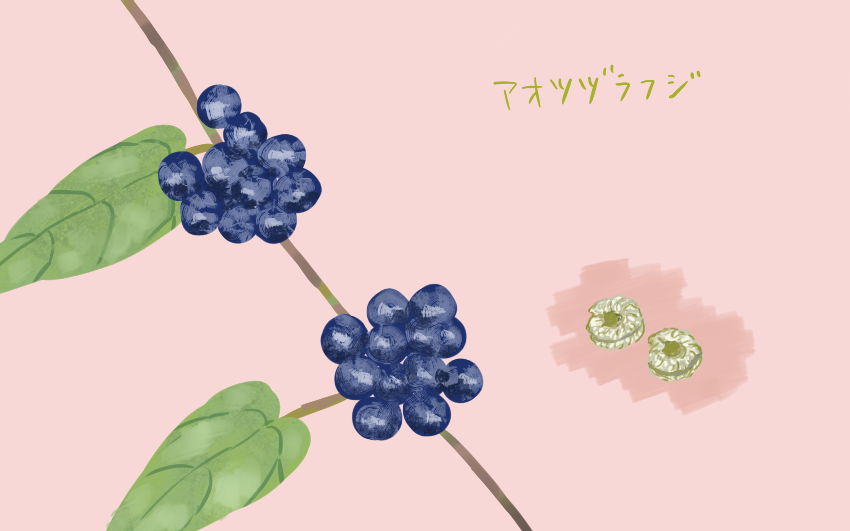 f:id:sagamihara_zzz:20201205230321p:plain