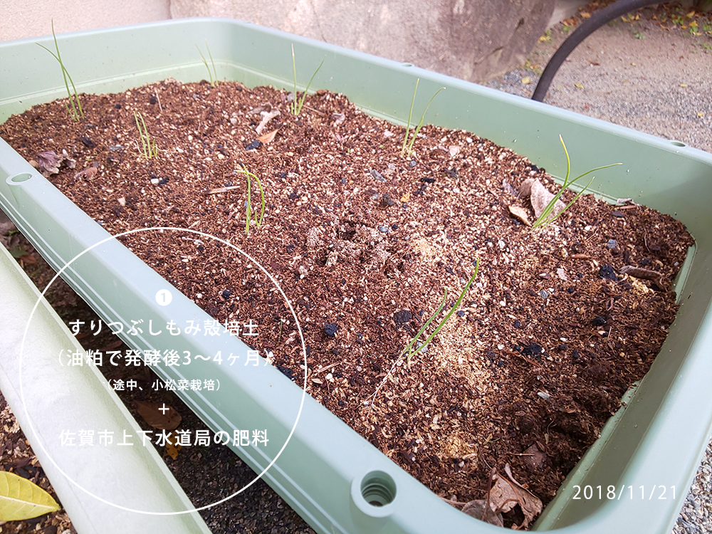 f:id:sagaoriza:20181206095922p:plain