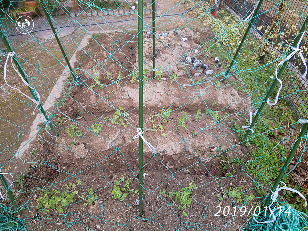 f:id:sagaoriza:20190220154845p:plain