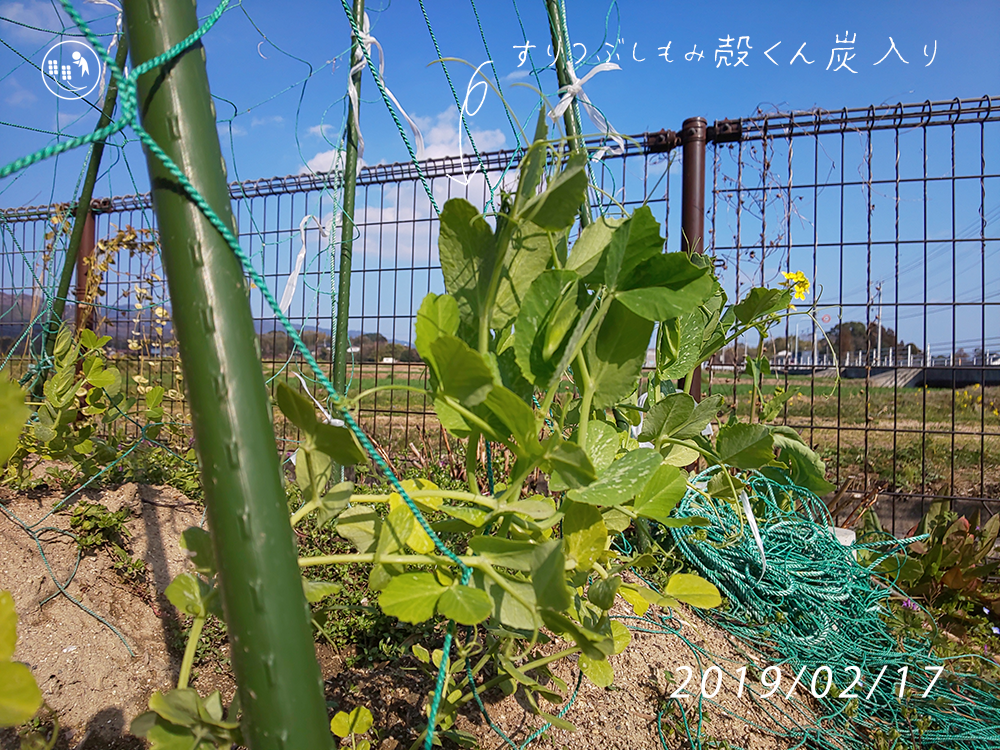 f:id:sagaoriza:20190220155510p:plain