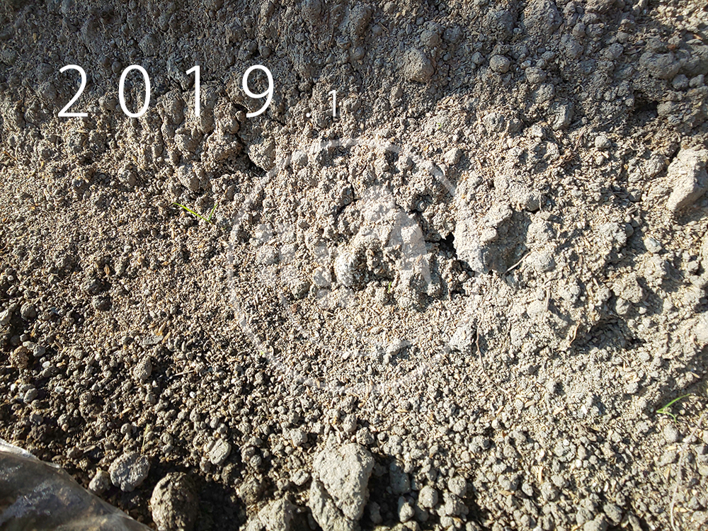 f:id:sagaoriza:20190329110032p:plain