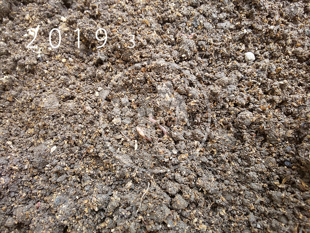 f:id:sagaoriza:20190329110057p:plain