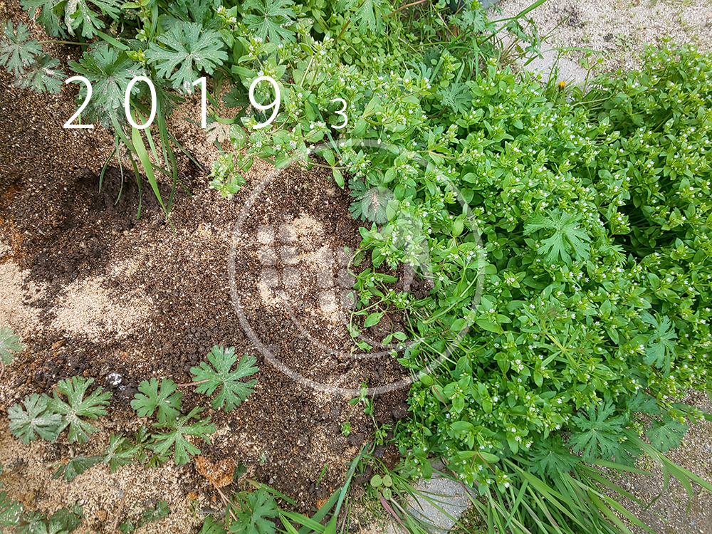 f:id:sagaoriza:20190329131159p:plain