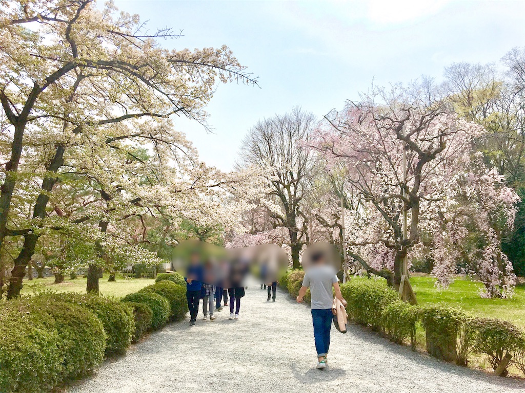 f:id:sageco:20180404142907j:plain f:id:sageco:20180404142907j:plain