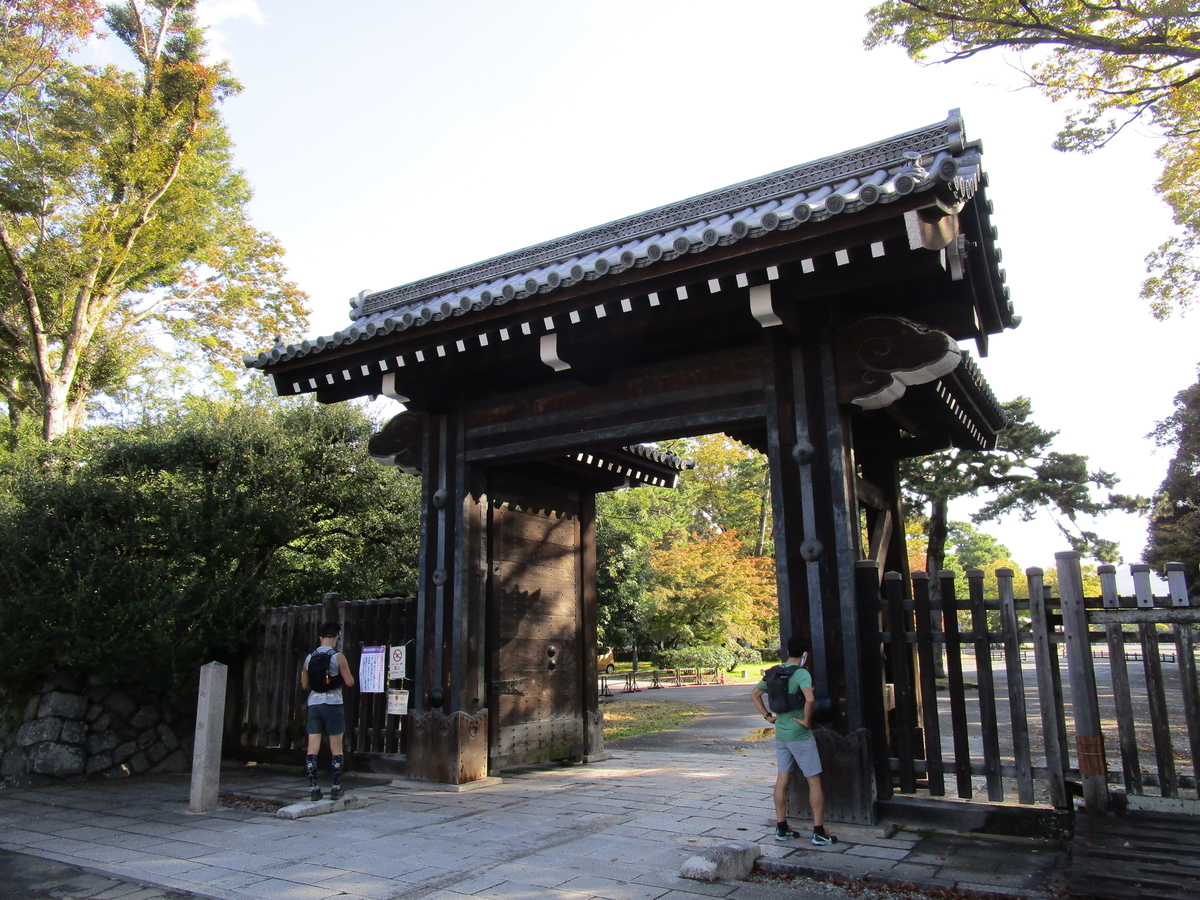 f:id:sagisaka6656:20201112204230j:plain f:id:sagisaka6656:20201112204230j:plain
