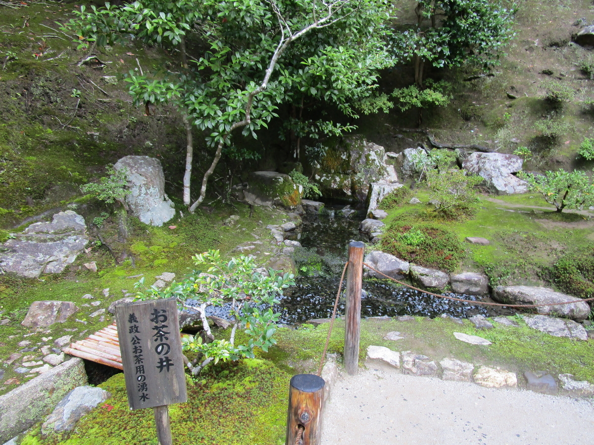 f:id:sagisaka6656:20201112204646j:plain f:id:sagisaka6656:20201112204646j:plain