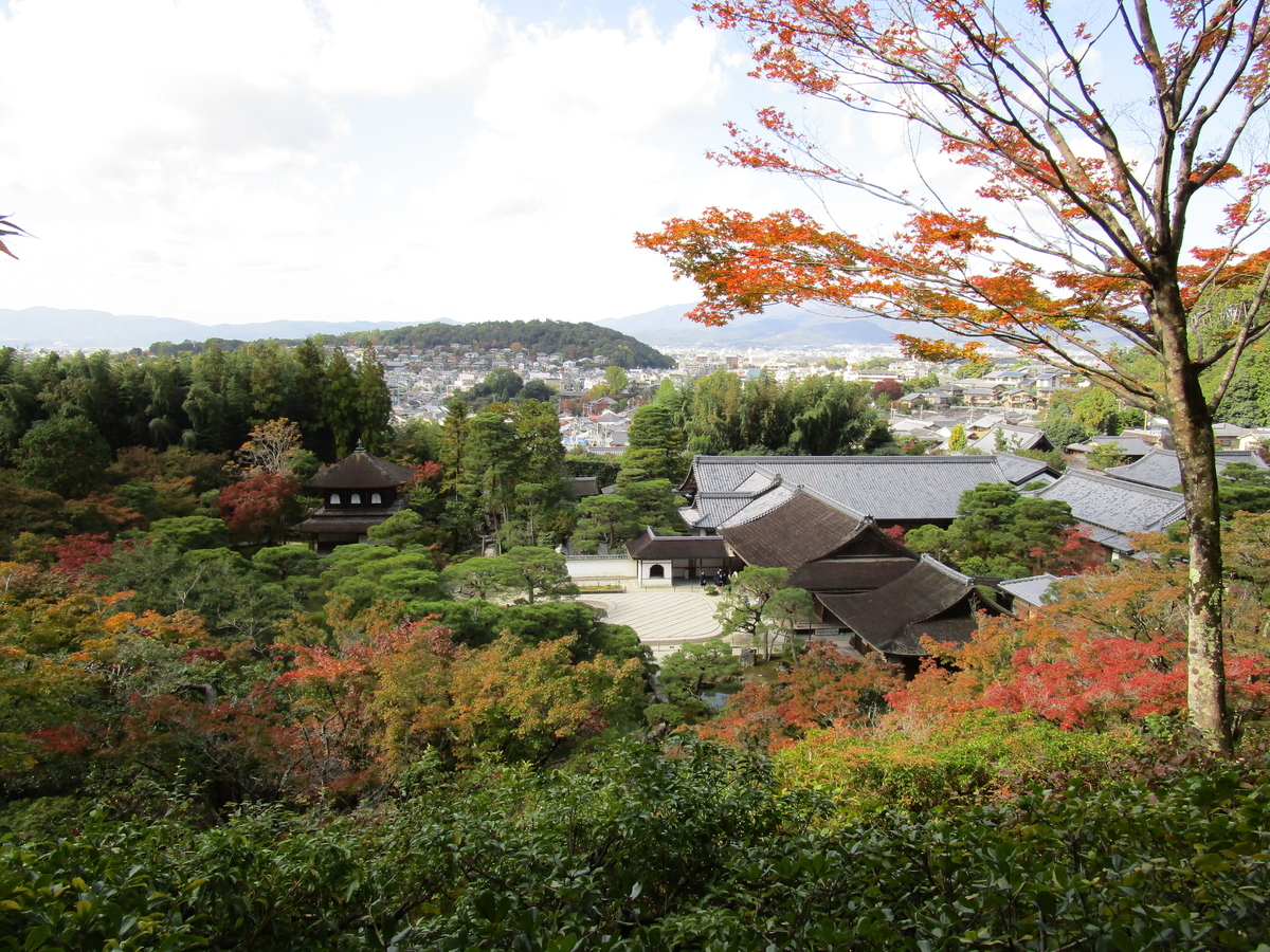 f:id:sagisaka6656:20201112204744j:plain f:id:sagisaka6656:20201112204744j:plain