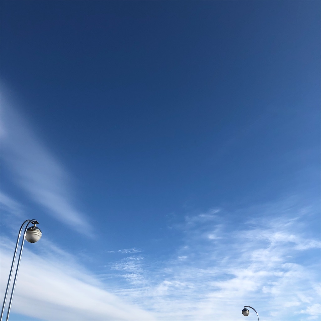 f:id:sagittarius1216:20201210165025j:image