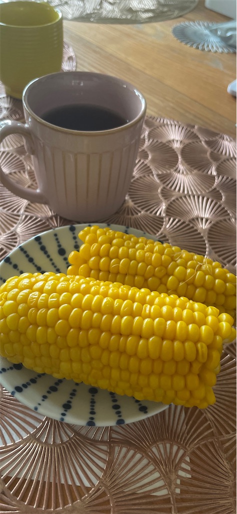 f:id:sagittarius1216:20230822221336j:image