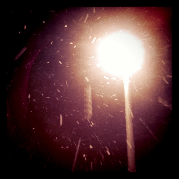 f:id:sagwan_kim:20110215032434j:image