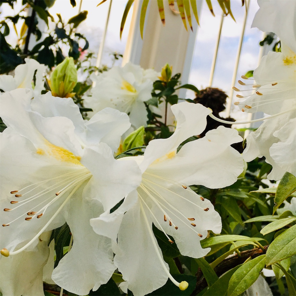 f:id:sagyo-33-kenkyujo:20190727101725j:image f:id:sagyo-33-kenkyujo:20190727101725j:image