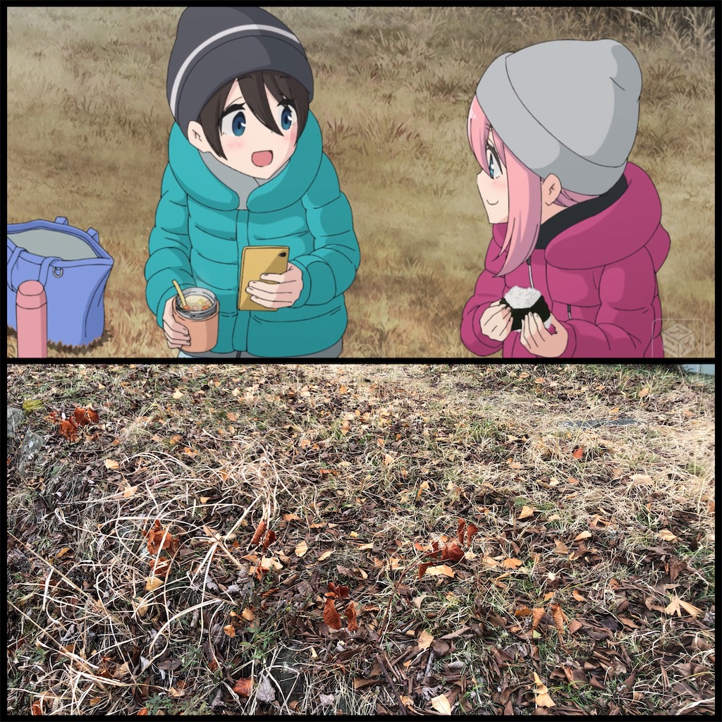 f:id:sahekun:20210202124811j:image f:id:sahekun:20210202124811j:image