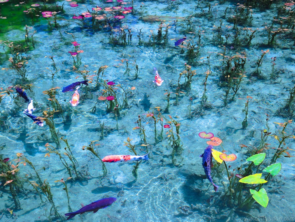 岐阜県 モネの池ツーリング かわまんライダー