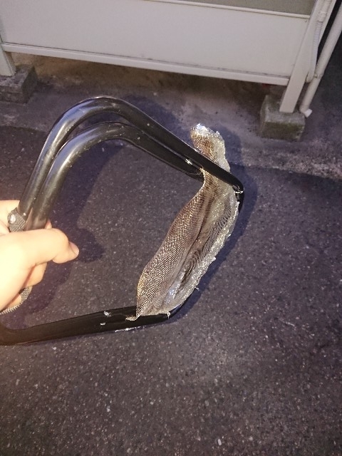 f:id:sahiro41:20191102170833j:plain f:id:sahiro41:20191102170833j:plain