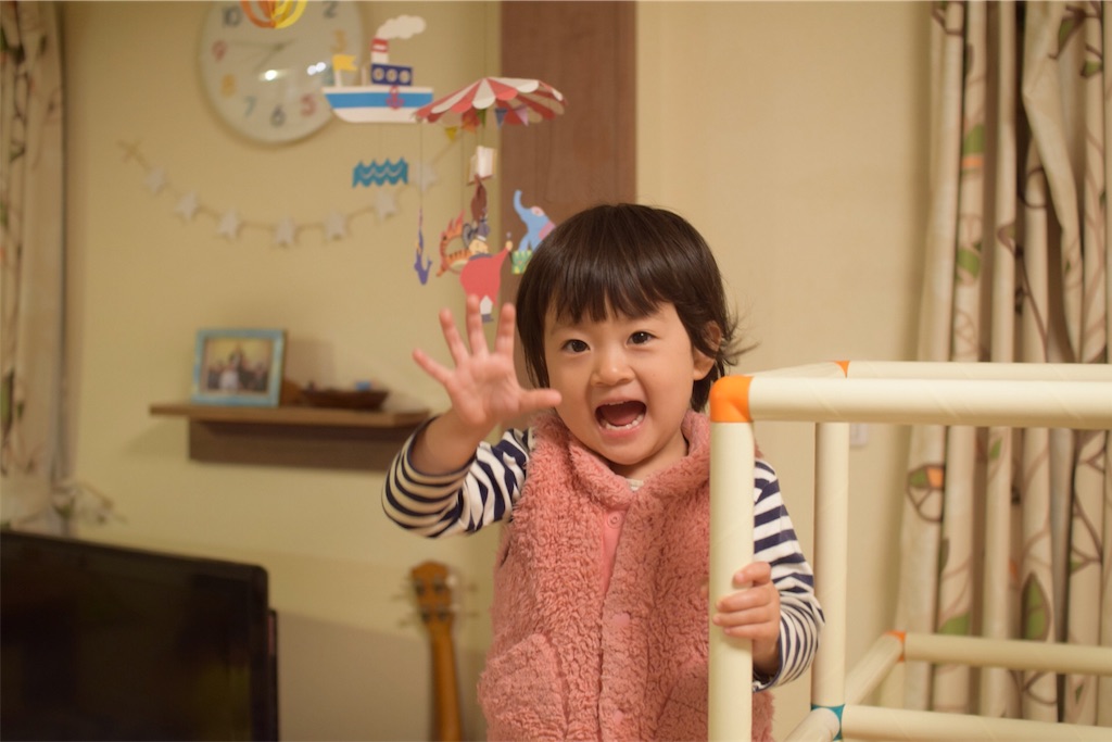 f:id:sahope:20180413154245j:image f:id:sahope:20180413154245j:image