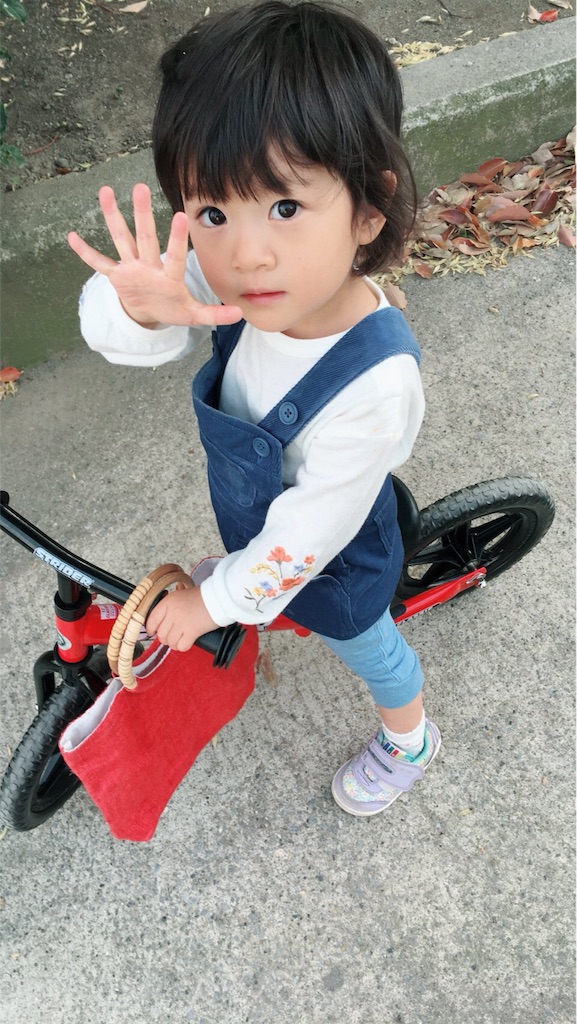 f:id:sahope:20180415204255j:image f:id:sahope:20180415204255j:image