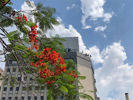 f:id:sahrzad:20180801034339j:image f:id:sahrzad:20180801034339j:image