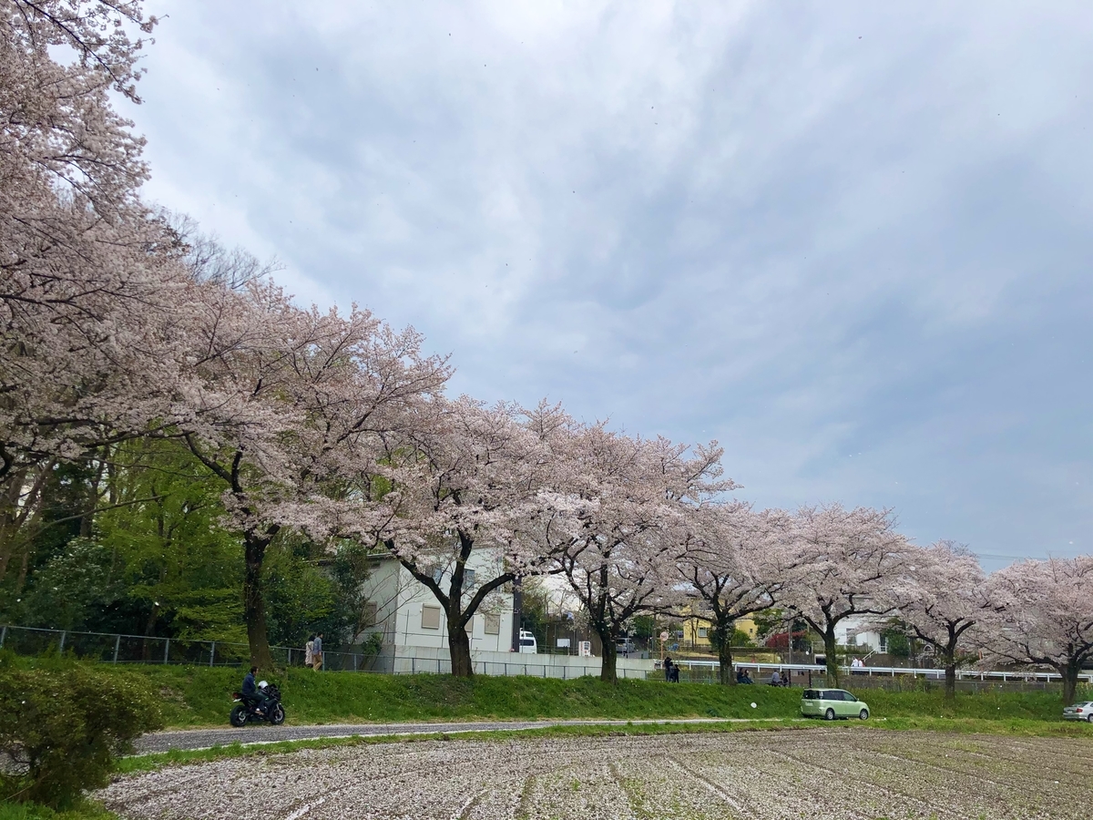 f:id:sai-no-chii-kura:20201006211258j:plain