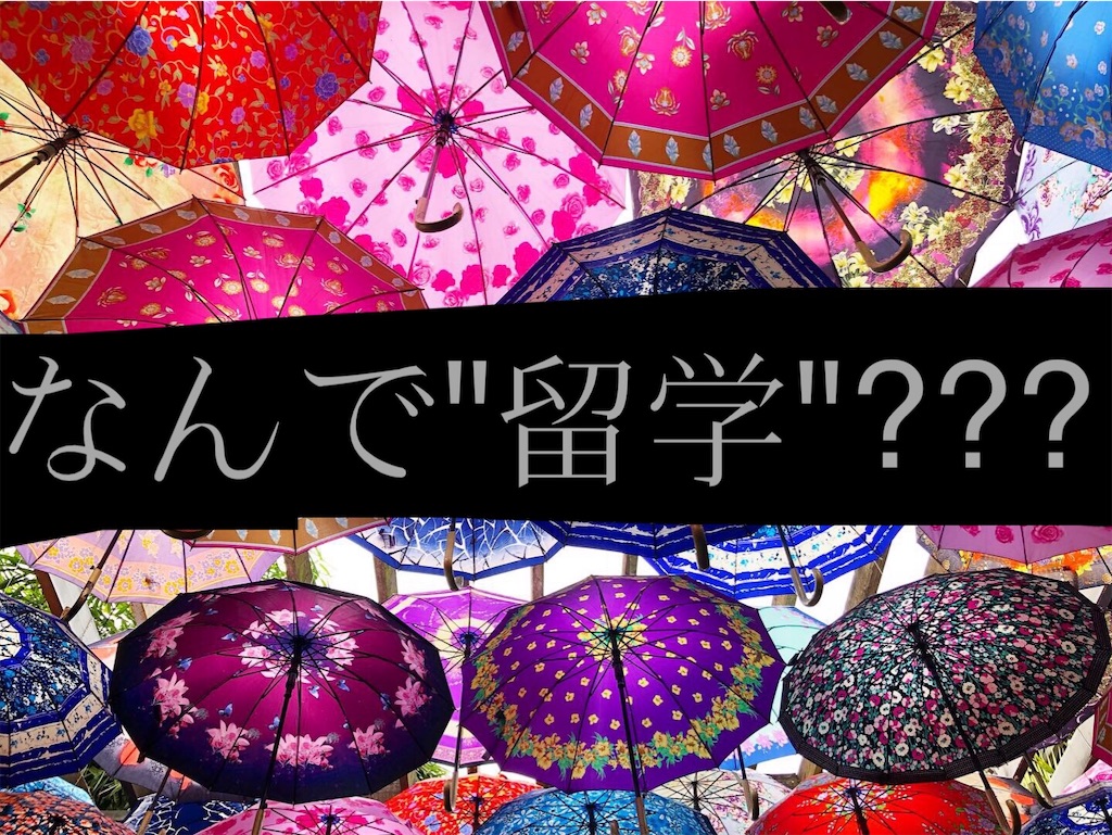 f:id:sai31k:20200318001239j:image